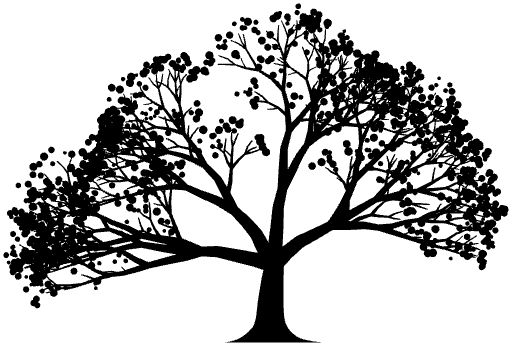The oak, black