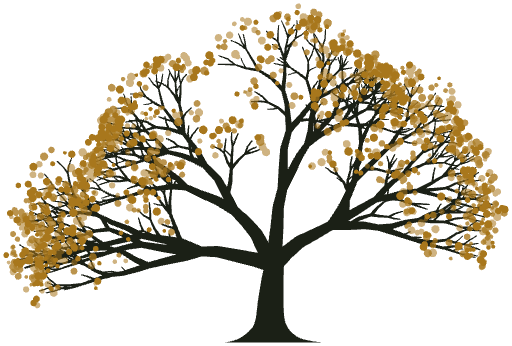 The oak, full colour
