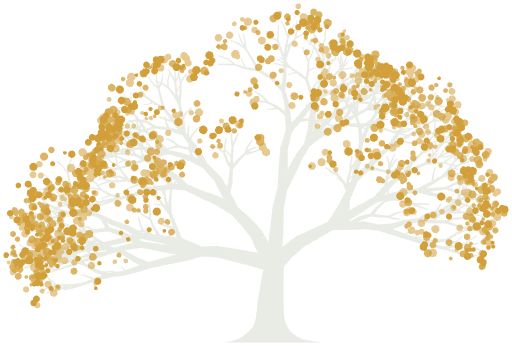 The oak, reversed